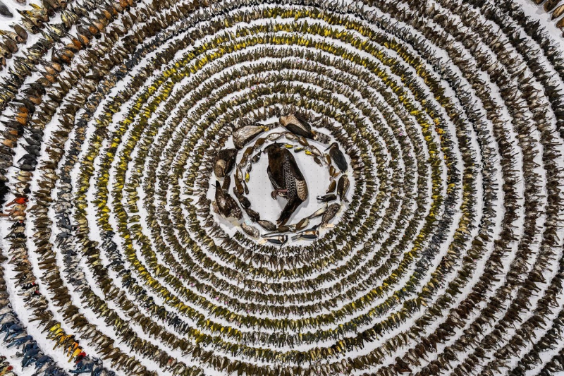 Птички певчие и не только: 16 победителей фотоконкурса Bird Photographer Of The Year 2024