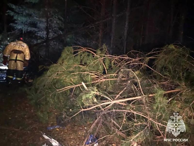 МЧС опубликовало кадры с места крушения Ми-2 в Кировской области